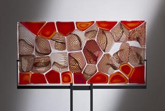 Coral Reef