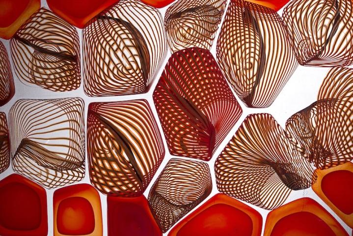 Coral Reef